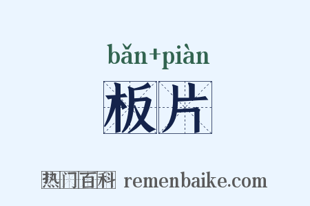 板片是什么意思的图片